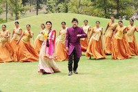 Band Balu Movie New Photos